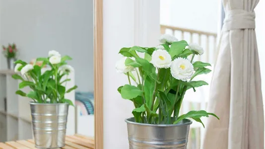 Rooms in Milano Zona 2 - Stazione Centrale, Gorla, Turro, Greco, Crescenzago - photo 8