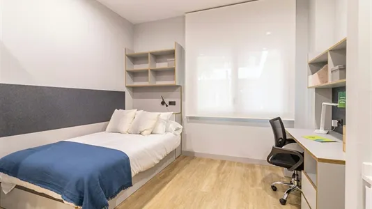 Apartments in Enramadilla - photo 4