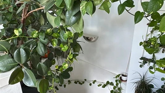 Rooms in Wien Währing - photo 4