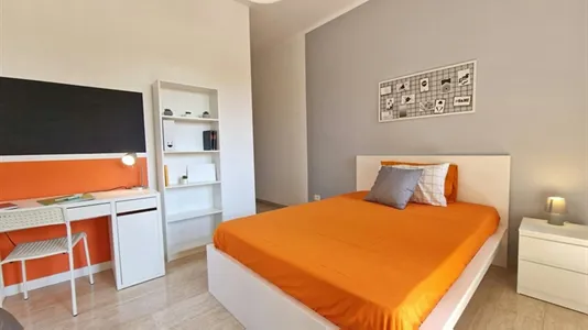 Rooms in Roma Municipio VIII – Appia Antica - photo 4