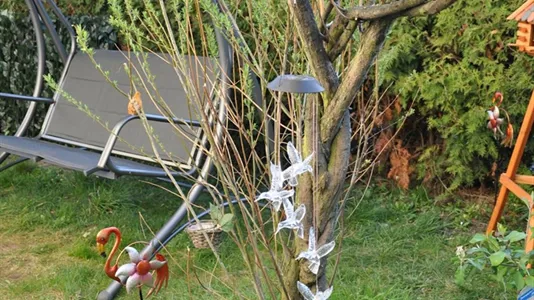 Apartments in Dahme-Spreewald - photo 8