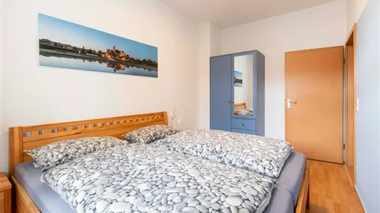 Apartments in Harz - photo 5