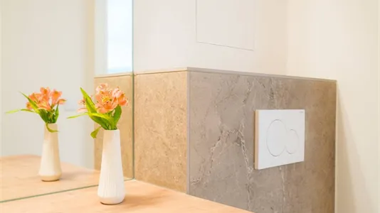 Apartments in Vienna Hietzing - photo 8