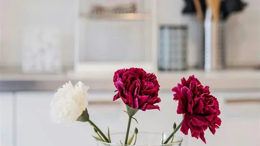 Rooms in Bologna - photo 9