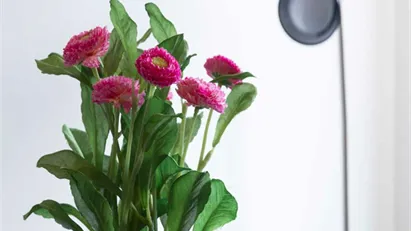 Room for rent in Milano Zona 9 - Porta Garibaldi, Niguarda, Milan