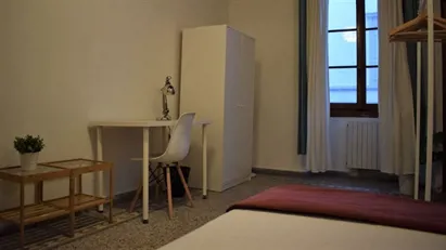 Room for rent in Florence, Toscana