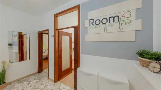 Rooms in Padua - photo 8