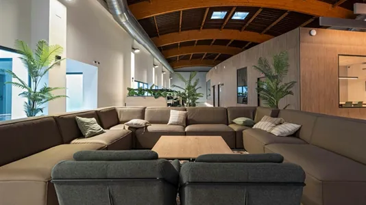 Rooms in San Vicente del Raspeig/Sant Vicent del Raspeig - photo 6