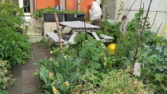 Rooms in Stad Antwerp - photo 8