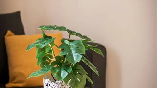 Apartments in Budapest Erzsébetváros - photo 8