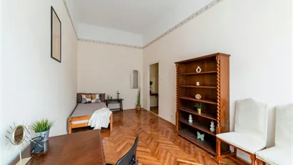 Room for rent in Budapest Józsefváros, Budapest