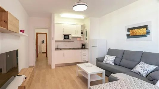 Apartments in Barcelona Sants-Montjuïc - photo 8