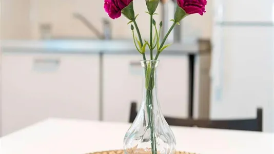 Rooms in Buccinasco - photo 8