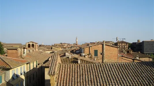 Rooms in Siena - photo 3