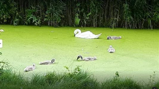 Rooms in Location is not specified - photo 9