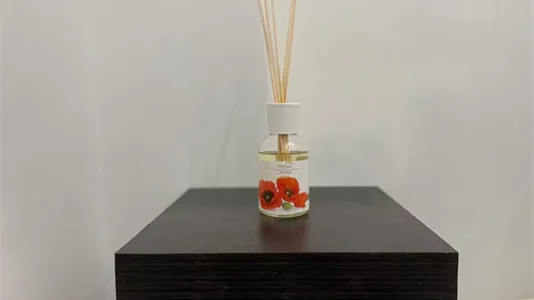 Apartments in Roma Municipio XIV – Monte Mario - photo 6