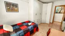 Room for rent, Elche/Elx, Comunidad Valenciana, Avinguda dAlacant, Spain