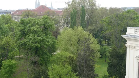 Rooms in Vienna Alsergrund - photo 3