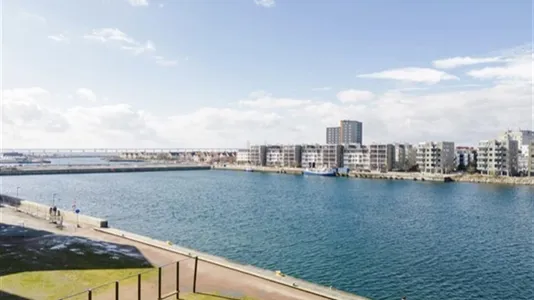 Apartments in Limhamn/Bunkeflo - photo 5