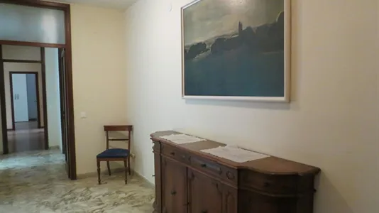 Rooms in Pisa - photo 6