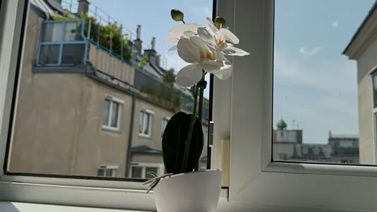 Rooms in Vienna Landstraße - photo 9