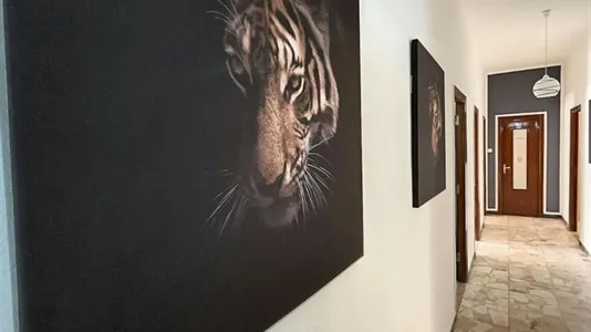 Rooms in Sassari - photo 9