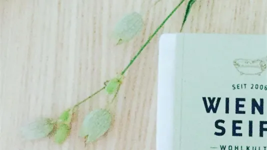 Apartments in Vienna Landstraße - photo 10