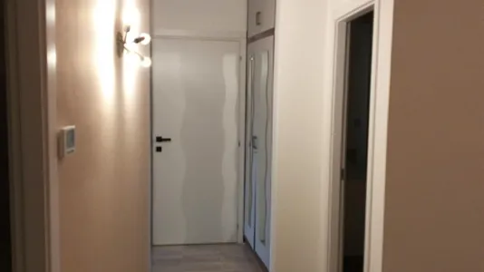 Rooms in Padua - photo 5