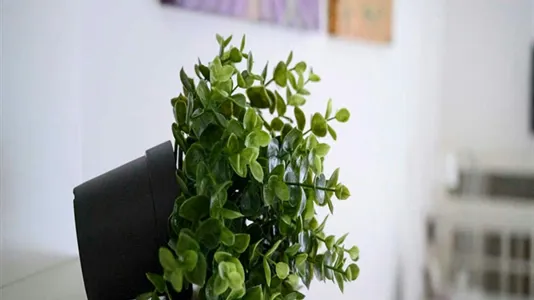 Rooms in Milano Zona 8 - Fiera, Gallaratese, Quarto Oggiaro - photo 7