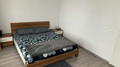 Room for rent in Rotterdam