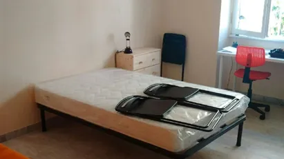 Room for rent in Roma Municipio VIII – Appia Antica, Rome
