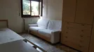 Room for rent, Pisa, Toscana, Via San Giuseppe Benedetto Cottolengo, Italy
