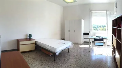 Room for rent in Roma Municipio VIII – Appia Antica, Rome