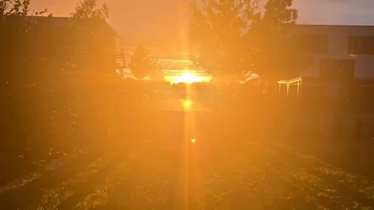 Rooms in Potsdam - photo 4