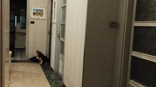 Rooms in Turin - photo 5