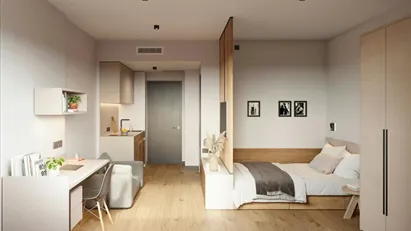 Apartment for rent in Amsterdam