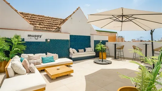 Rooms in Málaga - photo 7