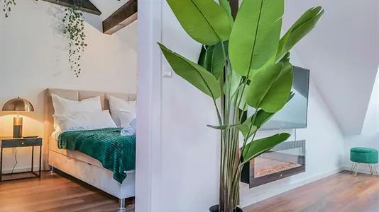 Apartments in Braunschweig - photo 9