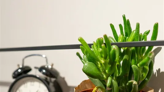 Apartments in Berlin Friedrichshain-Kreuzberg - photo 7