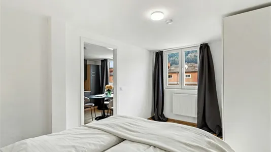 Apartments in Leoben - photo 10