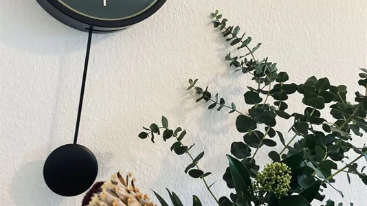 Apartments in Münster - photo 9