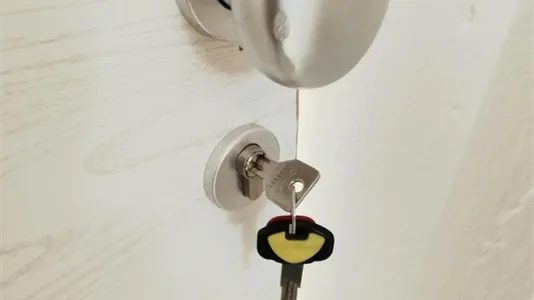 Apartments in Florence - photo 7