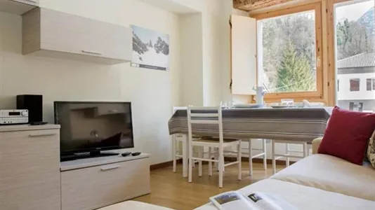 Apartments in Chies d'Alpago - photo 2