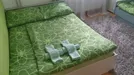 Room for rent, Besnica, Osrednjeslovenska, Cesta v Mestni log, Slovenia