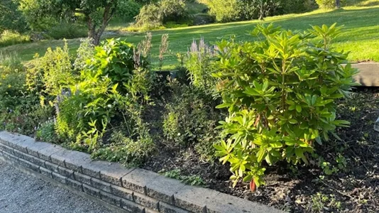 Houses in Uddevalla - photo 11