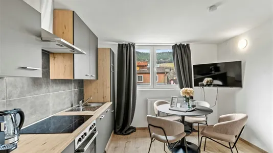 Apartments in Leoben - photo 4