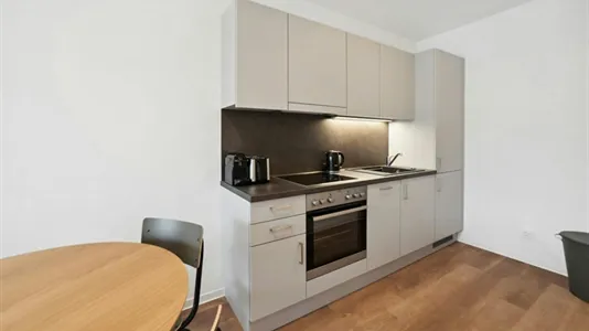 Apartments in Graz - photo 7