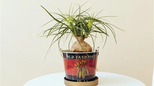 Rooms in Location is not specified - photo 9