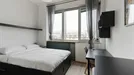 Room for rent, Milano Zona 2 - Stazione Centrale, Gorla, Turro, Greco, Crescenzago, Milan, Via Ernesto Breda, Italy