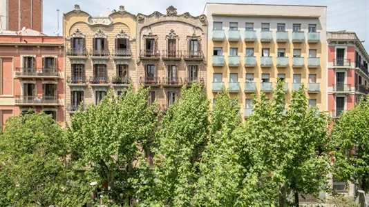 Apartments in Barcelona Eixample - photo 5